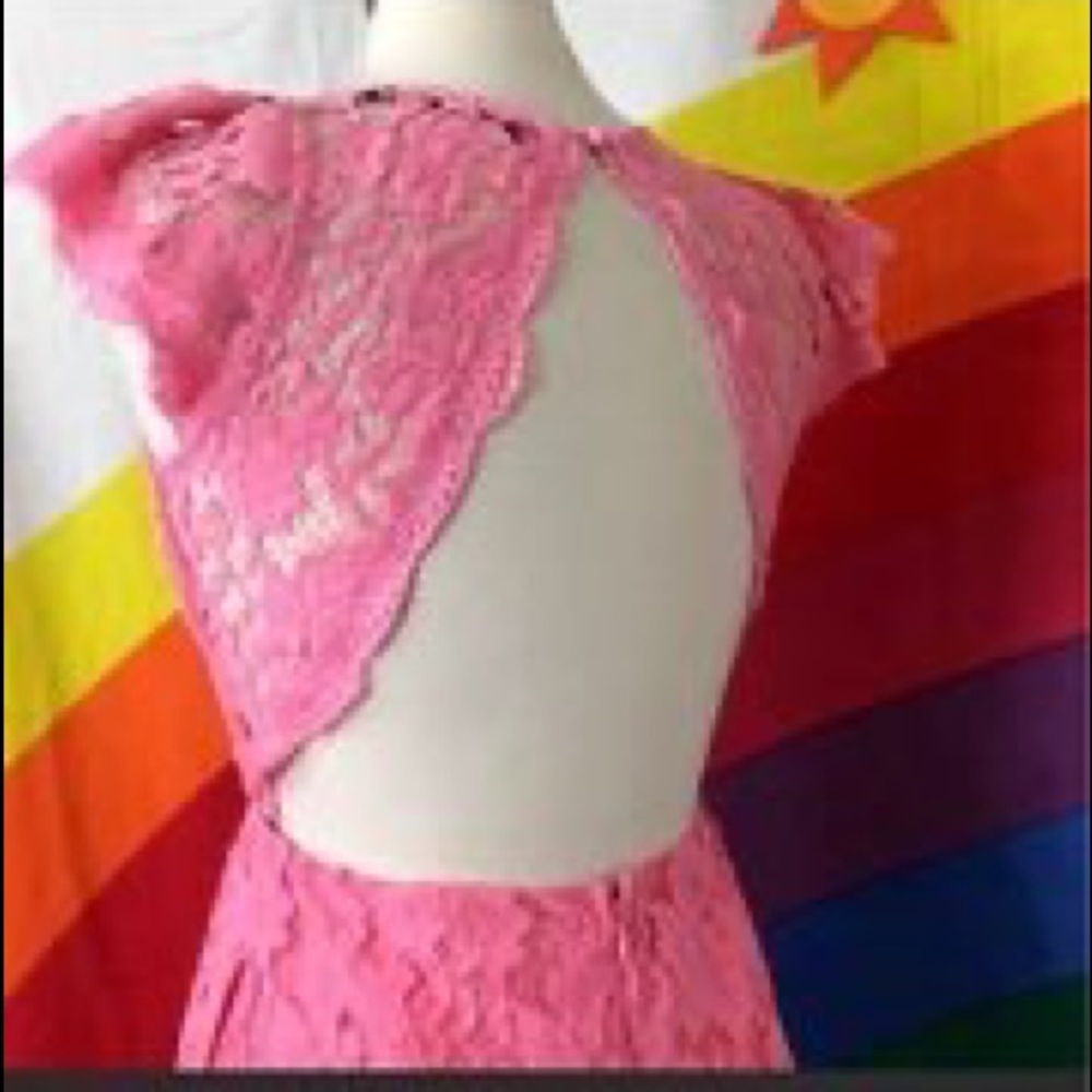 NWT Small Pink Lily “Forever Divine” Dress - Picture 2 of 5